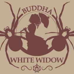 Buddha White Widow 3 semillas